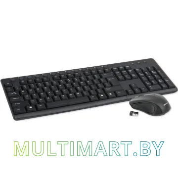 Комплект клавиатура + мышь Omega OKM071B Wireless Set